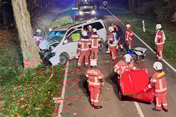 Schwere Verletzungen und 30.000 Euro Schaden: Mann kracht mit Transporter gegen Baum