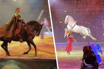 Tierquälerei-Vorwurf gegen Pferdeshow: Neue Videos zu "CAVALLUNA" veröffentlicht