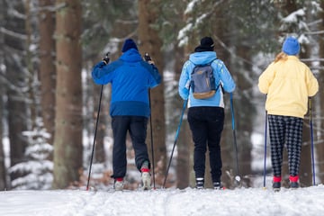 Erste Langlaufstrecken im Thüringer Wald präpariert: Das ist die derzeitige Gesamtlänge!