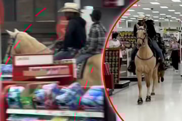 Tierischer Einkaufsbummel: Pferd trabt durch Supermarkt