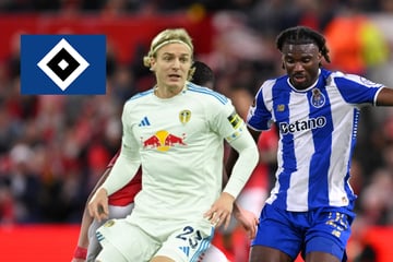 HSV-Blog: Rothosen sollen an neuem Abwehrchef und weiterem Stürmer dran sein