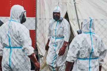 USA: Zweiter Mensch an Vogelgrippe erkrankt