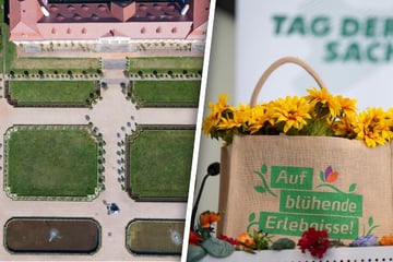 Dresden: Volles Programm am Sonntag: Unsere Tipps für Dresden und Umgebung