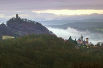 Köln: Neue Erlebniswelt ab Ostern 2026: Dino-Action trifft auf Drachenfels-Mythos