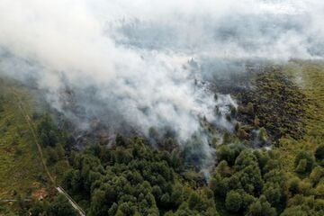 Mega-Waldbrand an NRW-Grenze: Lage auf deutscher Seite hat sich entspannt