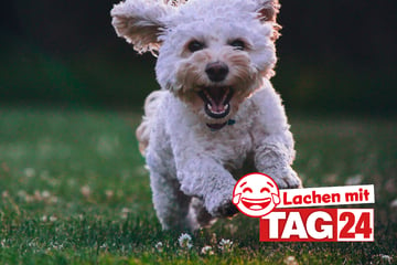 Witz des Tages vom 3.8.2024 - Täglich lachen mit TAG24