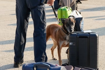 Leipzig: Makaberer Scherz: Mann droht an Leipziger Flughafen mit Bombe im Koffer