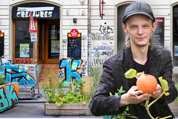 Dresden: Vor Kneipe in der Neustadt: Kellner verwandelt leeres Beet in grünen Hingucker