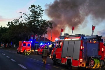 Berlin: Großbrand in Gartencenter ausgebrochen: Riesen Rauchwolke über Tegel