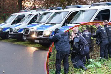 Mafia-Mord an deutsch-polnischer Grenze? Polizei durchkämmt Wald nach Leiche