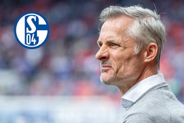 Trainer-Rumms im Pott: Schalke trennt sich von van Wonderen