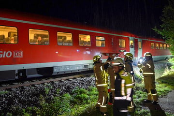 Zug rammt umgestürzten Baum: Lokführer erleidet Schock