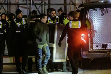 Hamburg: Wolfsattacke in Hamburg: Tier biss sogar zwei Frauen! Jetzt hat er vorläufig ein neues Zuhause