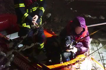 Hamburg: Dramatische Tierrettung: Hund bricht in See ein und flüchtet vor der Feuerwehr