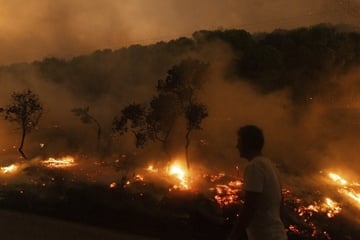 Waldbrände toben in Griechenland: Doch es gibt Hoffnung!