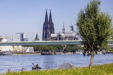 Köln: Aufregung am Rhein: Schwimmer verweigert Rettung