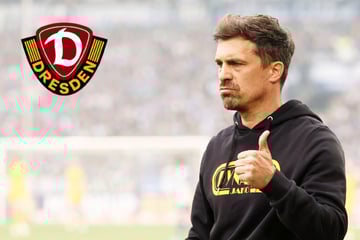 Dynamo-Dresden-Blog: Deshalb drückt die SGD dem HSV die Daumen