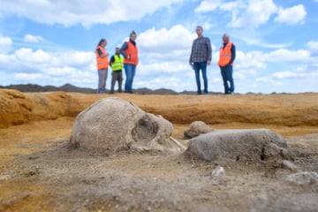 Archäologen machen im Salzlandkreis beeindruckenden Fund aus Bronzezeit