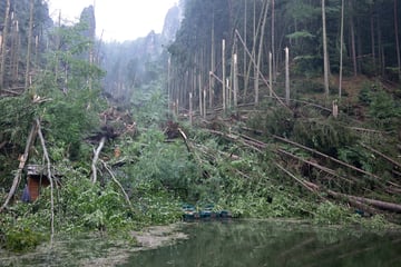 Zerstörung in der Sächsischen Schweiz: Wie entsteht ein solches Unwetter?