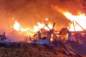 Scheune steht lichterloh in Flammen: Gewaltiger Sachschaden und ein tragischer Verlust