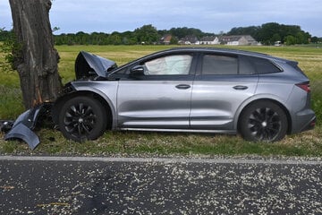 Im Fußraum herumgewühlt: Fahrer kracht mit Skoda gegen Baum