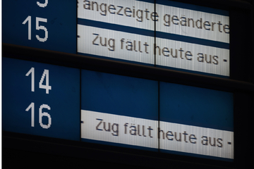 Züge zwischen Frankfurt und Stuttgart fallen aus: Das ist der kuriose Grund!