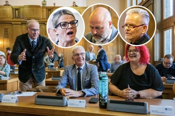 Rathaus-Eklat: So urteilen die Fraktionen über die Doppel-AfD