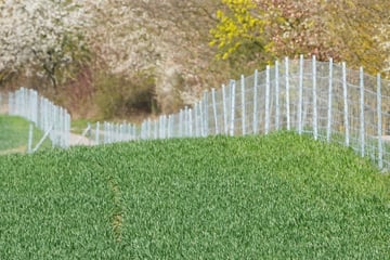 Hessen baut Zaun an Grenze zu NRW: Das ist der Grund