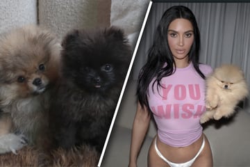 Kim Kardashian brushes off PETA outrage with new snap of controversial puppies