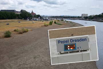 Dresden: Elbpegel wieder leicht am Klettern, nur das Baggerschiff kann noch nicht arbeiten