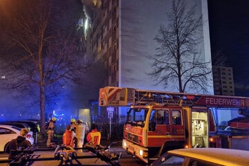 Berlin: Kellerbrand in Neu-Hohenschönhausen: Feuerwehrleute landen im Krankenhaus