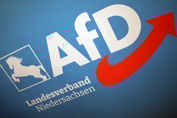 Hochstufung der AfD Niedersachsen auf Eis gelegt