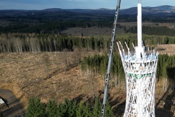 Er soll die Form des größten Hexenbesens der Welt haben: Aussichtsturm am Harzrand gewinnt an Höhe