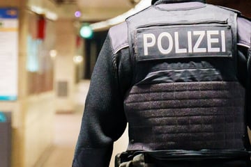 Frankfurt: Alarm am Hauptbahnhof Frankfurt: Frau ins Gleisbett gestoßen, dann kommt S-Bahn