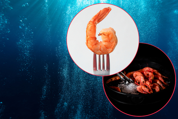 Prawns vs. shrimp: What's the difference between shrimp and prawns?
