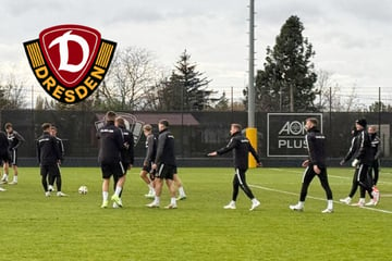 Dynamo-Dresden-Blog: Kammerknecht fehlt der SGD im Training!