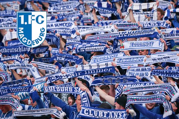 Große Teile AfD-Wähler unter den FCM-Fans? Forderung sorgt für Empörung