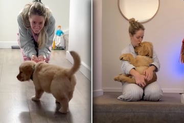 Frau schafft sich Golden Retriever an: Doch mit diesen Problemen hat sie nicht gerechnet