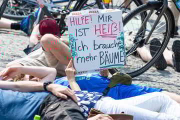 Berlin: "Beschlussreif": Bekommt Berlin per Gesetz bald mehr Bäume?