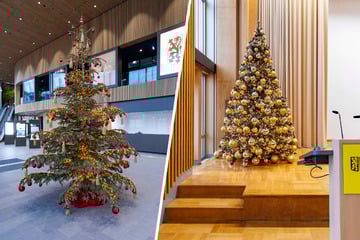 Dresden: Es grünt so grün im Dresdner Stadtforum