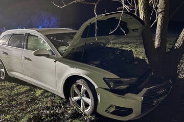 Audi kracht gegen Baum: 17-Jährige schwer verletzt