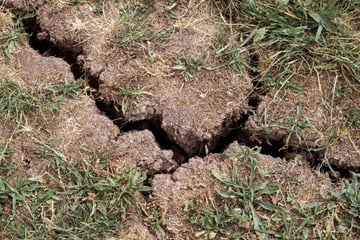 Klimawandel hinterlässt Spuren: Deutlicher Wassermangel in Thüringen