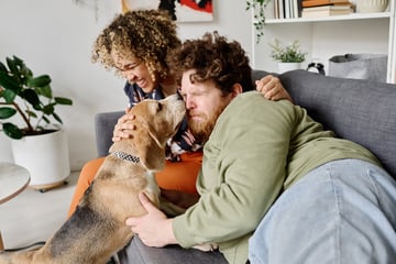 Hunde-Sabber sorgt für Glücksgefühle