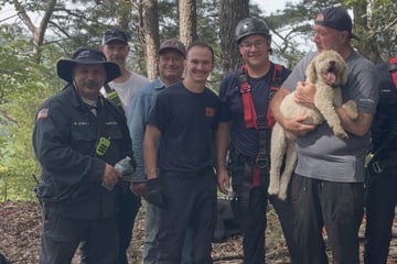 17 Stunden am Abgrund gefangen: So endet das Klippen-Drama für Hund Carl