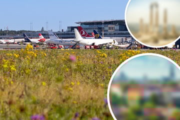 Hamburg: Sommerflugplan am Hamburg Airport: Das sind die neuen Reiseziele