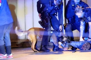 EM-Feier artet aus: Mann von Polizeihund gebissen