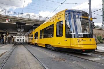 Dresden: BUGA kommt nach Dresden, doch ein richtiger Plan zum Nahverkehr fehlt