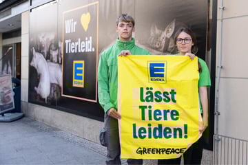 Hamburg: "Wir lieben Tierleid": Greenpeace sorgt vor Edeka-Filiale mit XXL-Protestplakaten für Wirbel