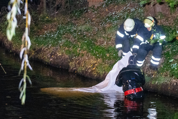 Schrecklicher Fund: Feuerwehr holt Frauen-Leiche aus See