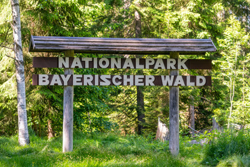 Deutschlands größter Waldnationalpark: Hier gibt's jetzt noch mehr Natur zu erleben